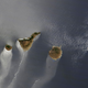 Image for article titled Reframe Roundup: This Week's Best Photography Posts
